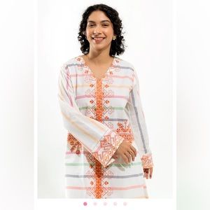 COPY - Pakistani Indian dress